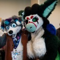 Furlandia 2026