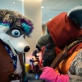 Furlandia 2026