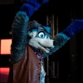 Furlandia 2026