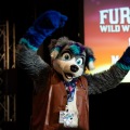 Furlandia 2026