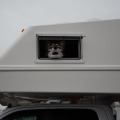 Furvana 2025