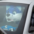 Furvana 2025