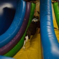 Get Out The Float Bounce House 2020