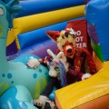 Get Out The Float Bounce House 2020