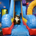 Get Out The Float Bounce House 2020