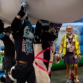 Get Out The Float 2026