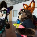 Pacific Northwest Furs - Evergreen Aviation (July 20, 2019)