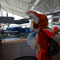 Pacific Northwest Furs - Evergreen Aviation (July 20, 2019)