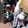 Portland (Aug. 14, 2016)