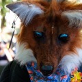 Get Out The Float Pride Parade 2026