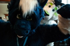 Rainfurrest 2013