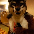 Rainfurrest 2013