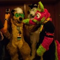 Rainfurrest 2013