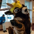 Rainfurrest 2013