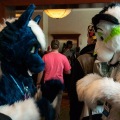 Rainfurrest 2013