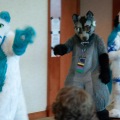 Rainfurrest 2013