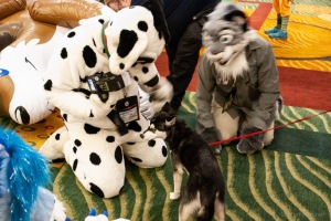 Rainfurrest 2015