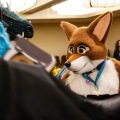 Rainfurrest 2015