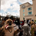 Rainfurrest 2015