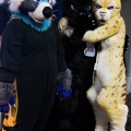 When Furballs Strike 22