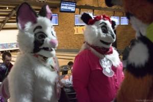 When Furballs Strike 24