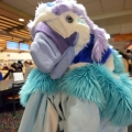 When Furballs Strike 26