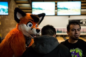 When Furballs Strike 30