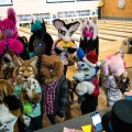When Furballs Strike 33