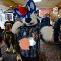 When Furballs Strike 37