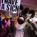 When Furballs Strike 55