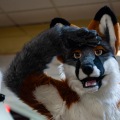 When Furballs Strike 55