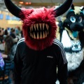 When Furballs Strike 55