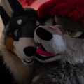 When Furballs Strike 56