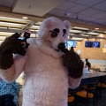 When Furballs Strike 56