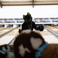 When Furballs Strike 56