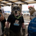When Furballs Strike 56