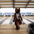 When Furballs Strike 56