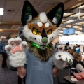 When Furballs Strike 56