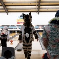 When Furballs Strike 56