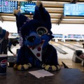 When Furballs Strike 56