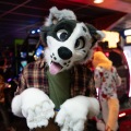 When Furballs Strike 56