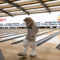 When Furballs Strike 56