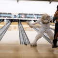 When Furballs Strike 56