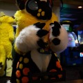 When Furballs Strike 58