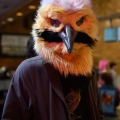 When Furballs Strike 58