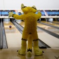 When Furballs Strike 58