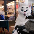 When Furballs Strike 58