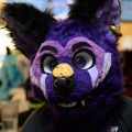 When Furballs Strike 58