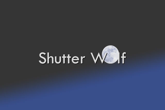 Shutter Wolf slate