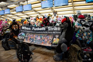 When Furballs Strike 55